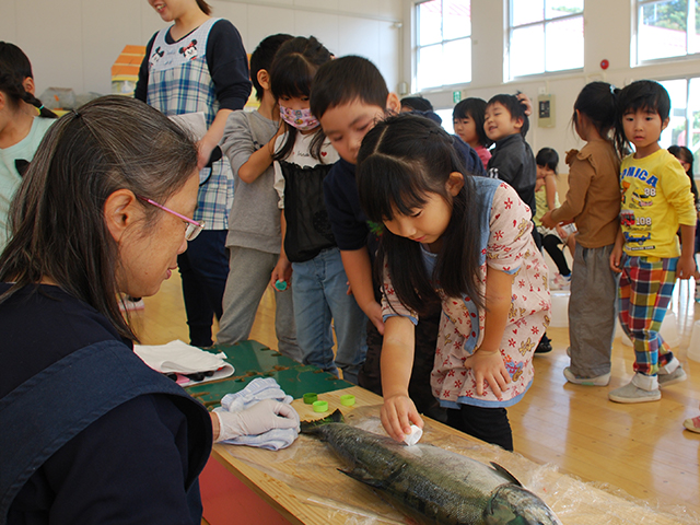 魚の解剖